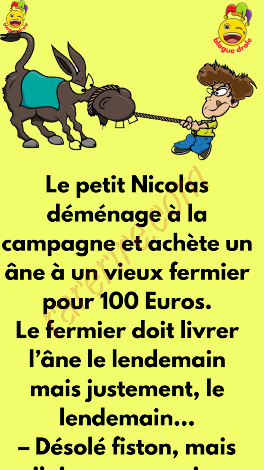 BLAGUE SUR UN ÂNE MORT